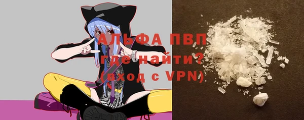 прущие грибы Медногорск