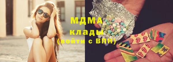 прущие грибы Медногорск