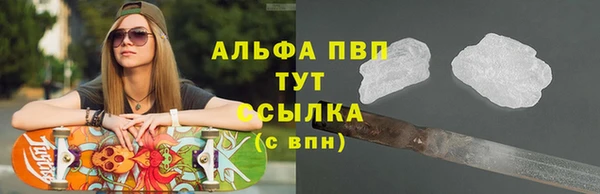 прущие грибы Медногорск