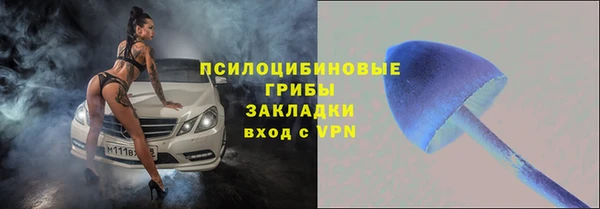 твердый Медвежьегорск