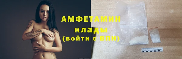 прущие грибы Медногорск