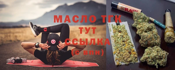 прущие грибы Медногорск