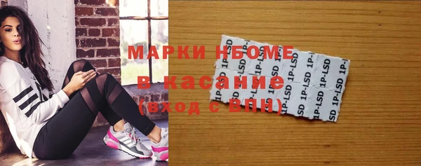 прущие грибы Медногорск
