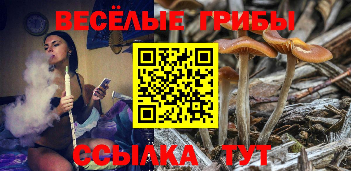 Галлюциногенные грибы Cubensis  Псилоцибиновые грибы Magic Shrooms  Курчалой  Вход с VPN 