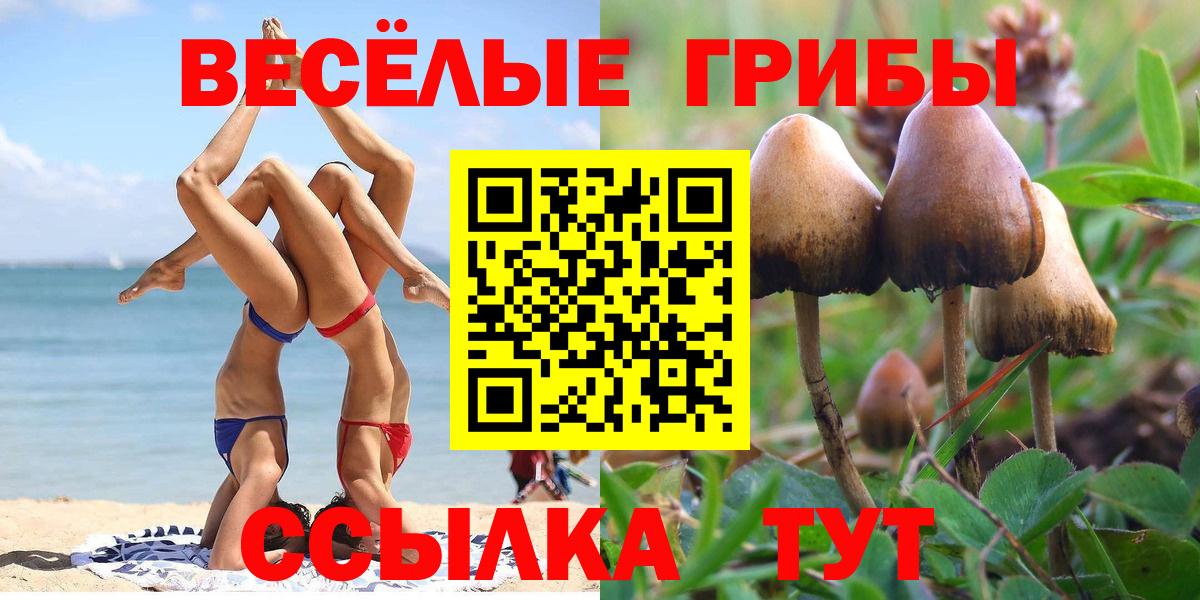 Галлюциногенные грибы Magic Shrooms Курчалой