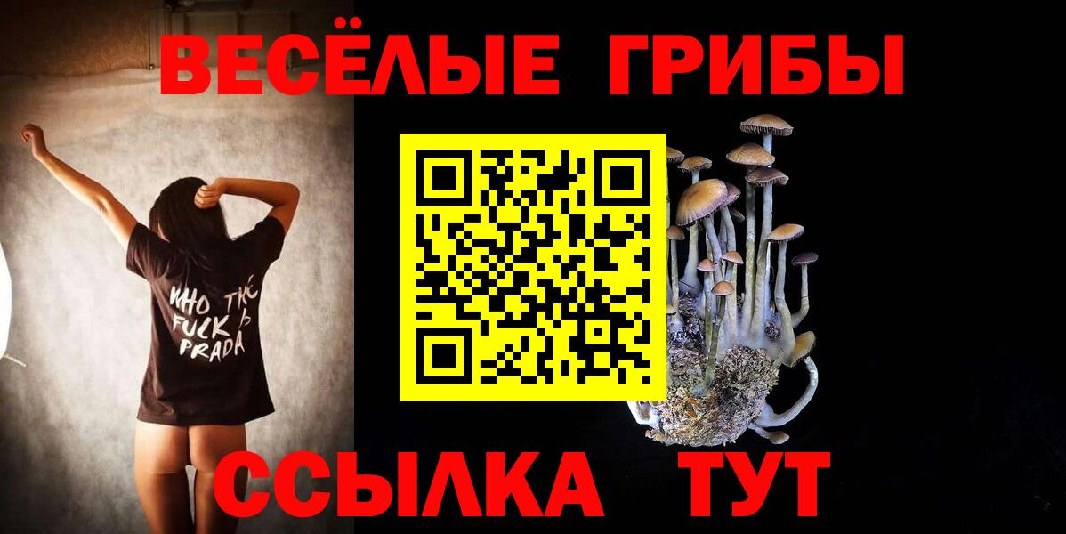 Курчалой  ЭКСТАЗИ  МДМА  LSD-25  Меф кристаллы  ГАШИШ  Вход с VPN  Купить наркоту  Марихуана 