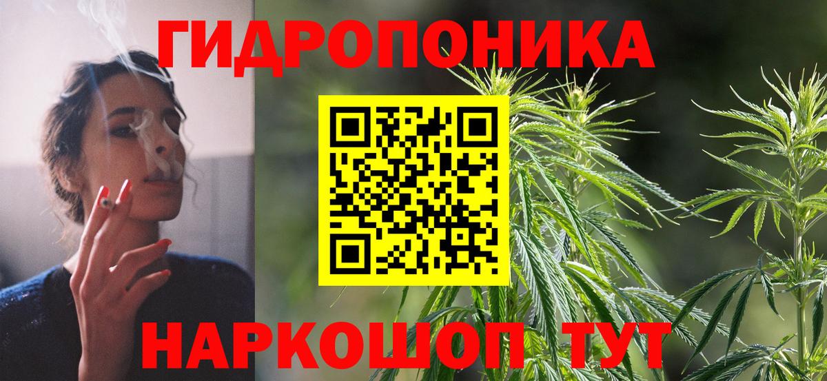 Курчалой  Каннабис планчик  Вход с VPN  Марихуана семена  Марихуана MAZAR 